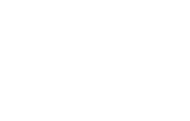 Home 9 Pz Css Logo-Project Zealous