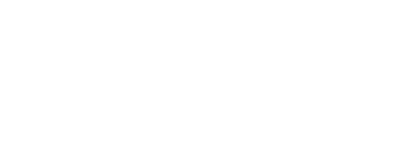 Home 10 Pz Elementor Logo-Project Zealous