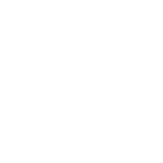 Icon Figma-Project Zealous